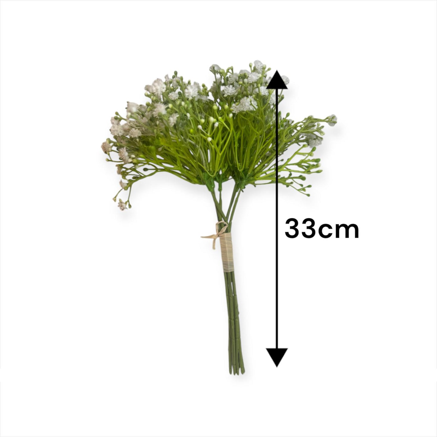 Baby`s Breath